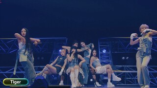 HANA - Tiger [2025.04.12]