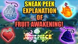 Awakening Fruits Explanation - How it Will Work in A One Piece Game