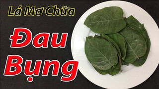 Cách chữa đau bụng nhanh nhất tại nhà bằng lá mơ lông, tác dụng tốt hơn cả thuốc tây