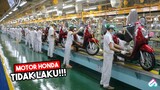 MOTOR KEREN SEPI PEMINAT! Inilah 7 Produk Gagal Honda Yang Stop Produksi Di Indonesia