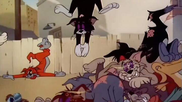 Cousin Jerry has rounded up all the stray cats in the alley, haha.
