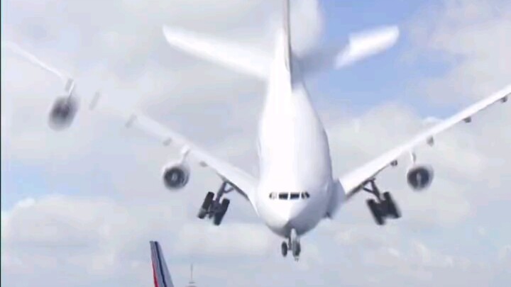 Quá trình thuần hóa chim thời kỳ đầu: Video quý hiếm về máy bay chở khách