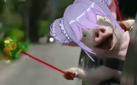 Noisy Little Xiangwan
