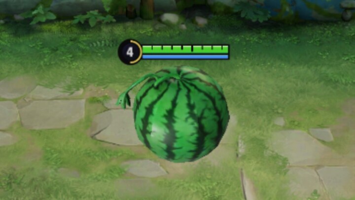This melon is ripe!