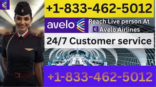 Porter Airlines ® Customer Service | Live Team Support 24/7®️ And Guide 2025