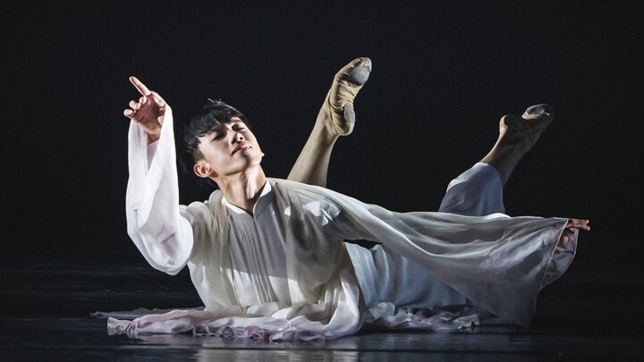 The 14th Tao Li Cup Classical Dance – Youth Men’s Category: “Resting Feathers Listen to the Wind”