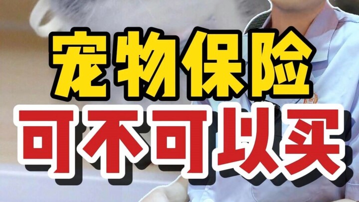 Should You Really Buy Pet Insurance? Is It Reliable?