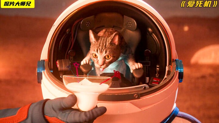 When the apocalypse strikes, the poor turn on each other for food, while the rich build rockets to c