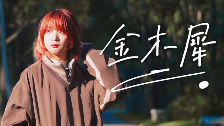 【兮白·KURO】成为舞见的2021天！~金木犀【即兴】