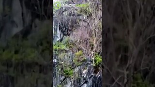 Tingnan ang ganda ng Minalungao National Park! #shorts | Amazing Earth