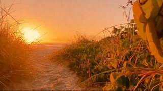 Praia do Santinho - Florianópolis - Santa Catarina - Brasil