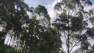 Tentang keturunan Dajjal