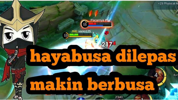 momong hayabusa dilepas