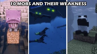 10 Minecraft Mobs and their weakness - Survival Tutorial