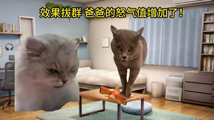 [Cat Meme] The Story of Cat Dad Uprooting a Willow Tree in a Fierce Rage