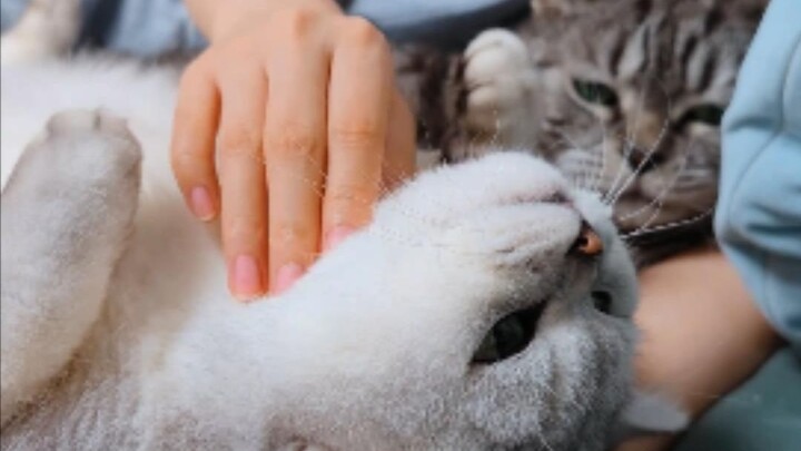 Siapa yang memberiku keberanian untuk menjalani tes ini...?