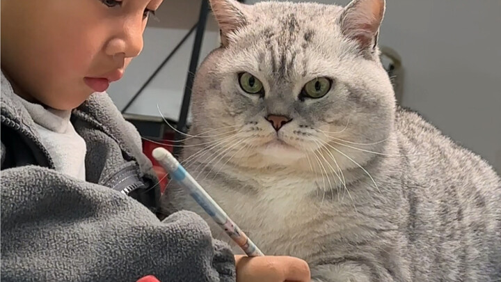 Ngay khi em vừa tan học về là Đại Tráng đã dính lấy em.