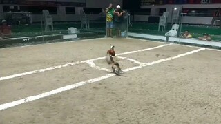 MRM boots... n Action    Gensan.... win