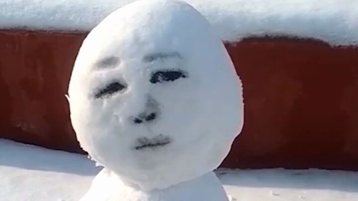 雪花飘飘北风萧萧