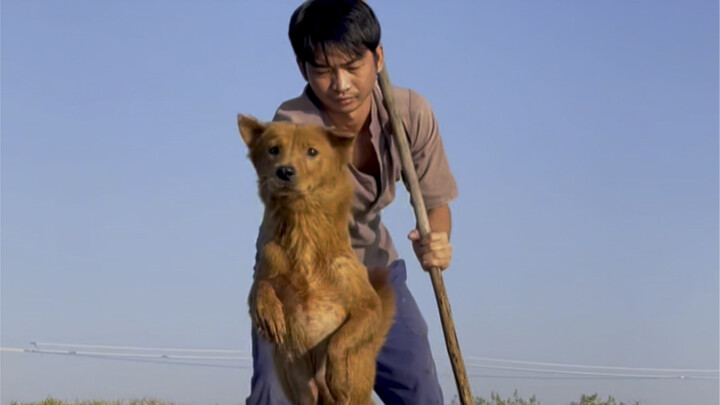 อะไรกันนะ หมาเจ็ดดาว ก็แค่ตำนานเล่าขานเท่านั้นเอง