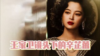 Xin Zhilei dưới ống kính của Vương Gia Vệ
