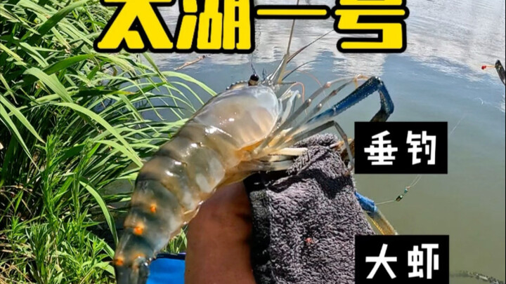 คืนนี้กุ้งตัวโตๆ ฟรีเลย