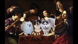 Canon in D by Johann Pachelbel but it's Doggos and Gabe