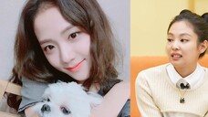 BLACKPINK JENNIE shows off her pet dog Kuma [Kang Hyung Wook's Dog-guest show] EP.13