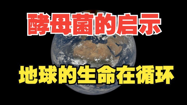 酵母菌的预示了人类的未来：地球生命在循环