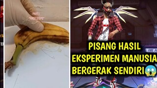 MERINDING!!! PISANG INI BERGERAK SENDIRI LAYAKNYA SEPERTI Z0MBIE😱