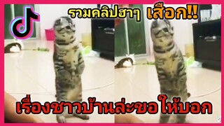 รวมคลิปสัตว์ฮาๆเด็ดๆ(ในแอปTiktok #29)​[เสือก!! เรื่องชาวบ้านล่ะขอให้บอก กูชอบ]