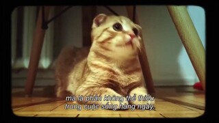 Nhập môn lịch sử (Phần 2) EP 7 [Sub Việt]