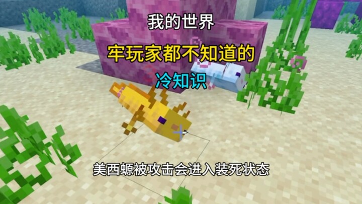 Fakta-fakta menarik tentang Minecraft yang bahkan para pemain lama pun belum tahu – Episode 1