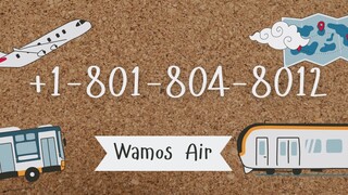 Número de Teléfono de Atención al Cliente de Wamos Air® – Guía Completa Paso a Paso 2025