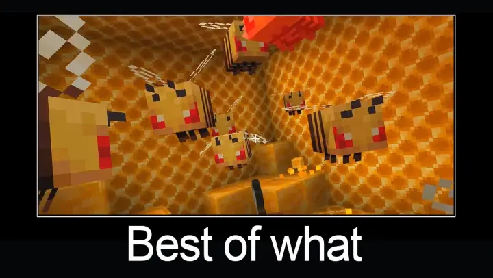 Best of Wait What meme in minecraft