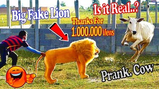 Big Fake Lion vs Real Cow Prank Very Funny With Wondering Scared Reaction