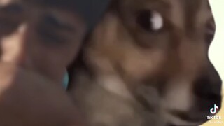 Ko bt an ủi sao nữa