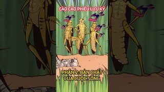 Cào cào phiêu lưu ký (Phần 2) #shorts  #trithucplus #trithuc