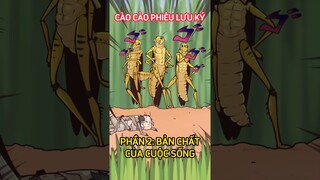 Cào cào phiêu lưu ký (Phần 2) #shorts  #trithucplus #trithuc