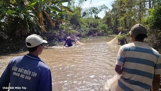 KÉO LƯỚI BẮT LOÀI THỦY SẢN RẺ TIỀN VỀ LÀM MÓN ĂN AI CŨNG THÍCH. T524 CĐMT