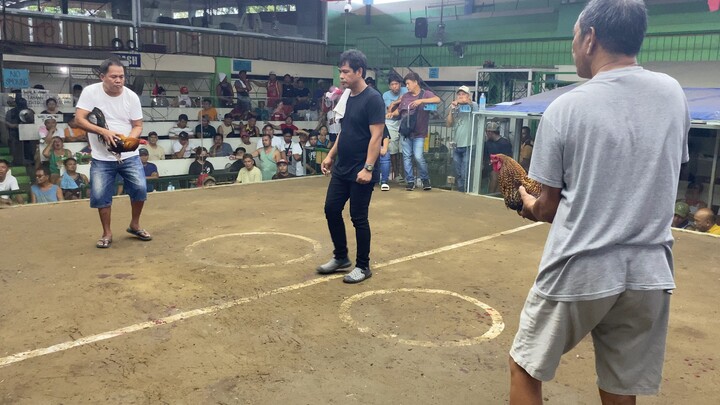 3x winner Bulik @cainta