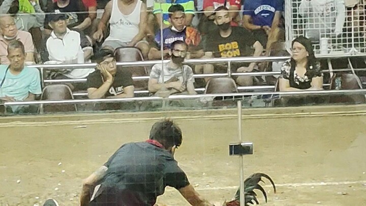 ang saya pag mananalo tlga manok mo..galing ni tatay