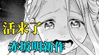 腰斩后又断脚？灰姑娘也干了！赤坂明休刊一月来活了！