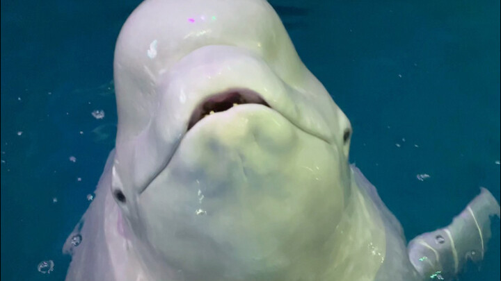 Dia punya terlalu banyak pikiran jahat!