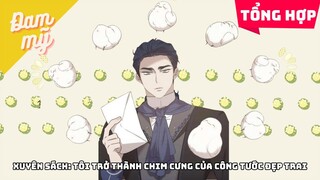 ALL IN ONE |  Xuyên sách: Tôi trở thành chim cưng của công tước đẹp trai | Review Đam Mỹ