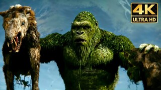 King Kong chased by a Pack Scene 4K Full Scene (2024) Godzilla x Kong Movie