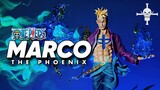 Unboxing One Piece Marco Diamond Studio 1/6 Resin Statue