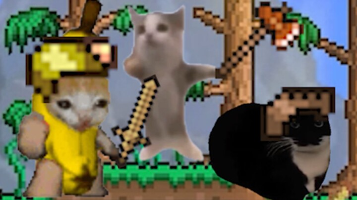 Happy Cat Brings Banana Cat to Play a Brand-New Game!