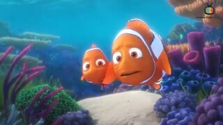 DORY's REEF CAM FULL MOVIE LINK IN DESCRIPTION