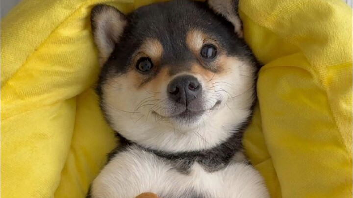 สปา Man Yuk กลับมาเปิดให้บริการอีกครั้งแล้ว